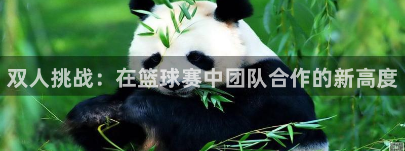  意昂2体育平台：双人挑战：在篮球赛中团队合作的新高度