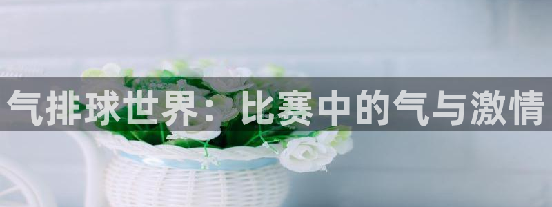  意昂2平台股东：气排球世界：比赛中的气与激情