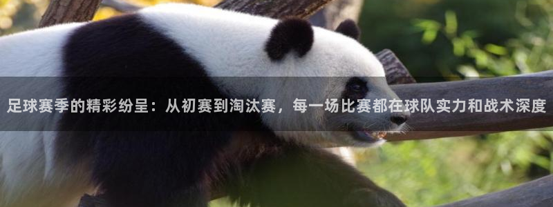  意昂2登录入口：足球赛季的精彩纷呈：从初赛到淘汰赛，每一场比