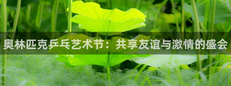 意昂2登录地址：奥林匹克乒乓艺术节：共享友谊与激情的盛会