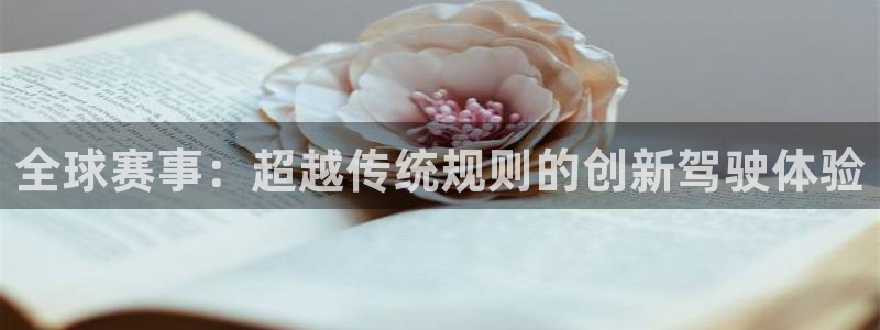 意昂2平台：全球赛事：超越传统规则的创新驾驶体验