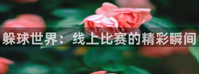 意昂2登录地址：躲球世界：线上比赛的精彩瞬间