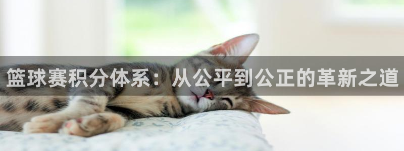 意昂2官网：篮球赛积分体系：从公平到公正的革新之道