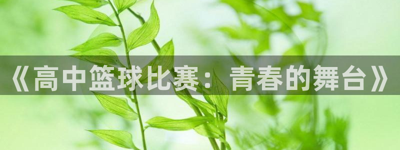  意昂2平台：《高中篮球比赛：青春的舞台》