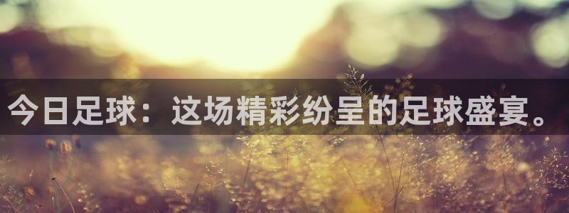  意昂2登录地址：今日足球：这场精彩纷呈的足球盛宴。