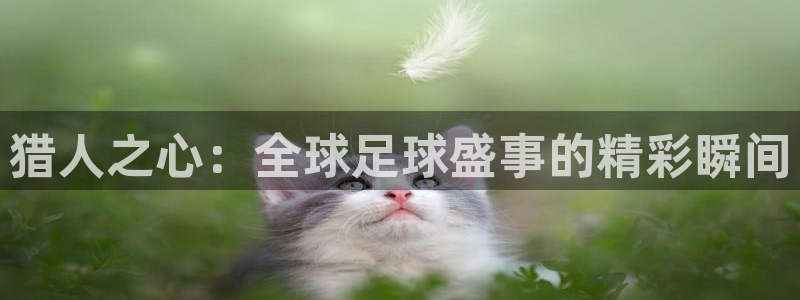  意昂2登录：猎人之心：全球足球盛事的精彩瞬间