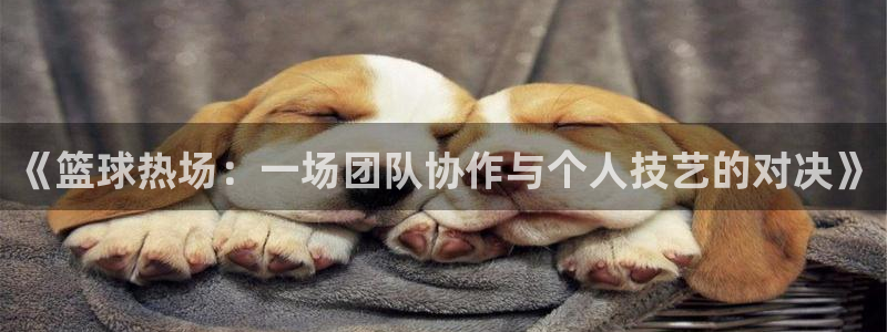  意昂2体育在线平台登录：《篮球热场：一场团队协作与个人技艺的