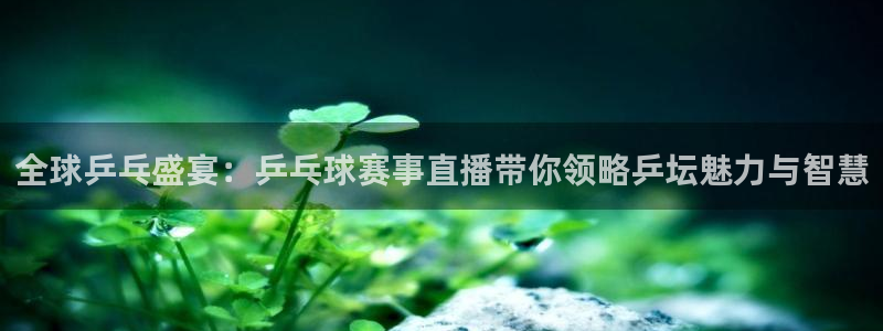 意昂2如何注册开户：全球乒乓盛宴：乒乓球赛事直播带你领略乒坛