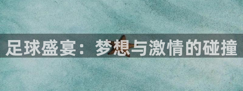 意昂2登录注册：足球盛宴：梦想与激情的碰撞