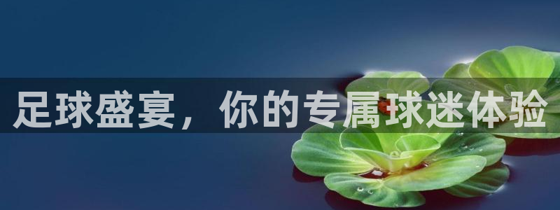 意昂2体育：足球盛宴，你的专属球迷体验