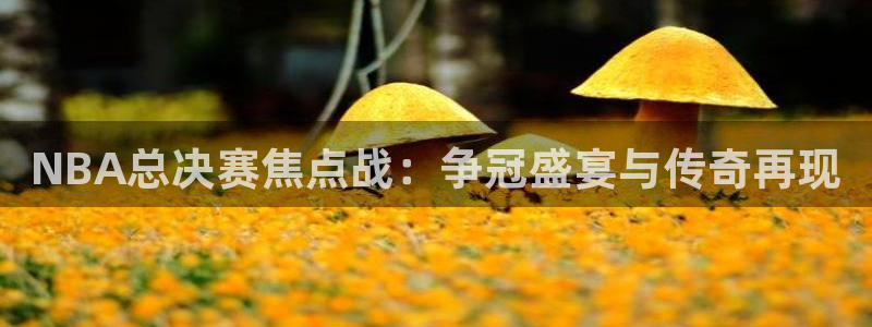  意昂2体育平台：NBA总决赛焦点战：争冠盛宴与传奇再现