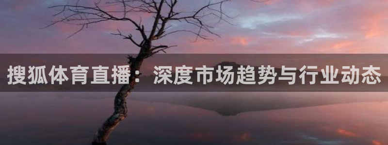 绿茵直播体育在线观看免费：搜狐体育直播：深度市场趋势与行业动态
