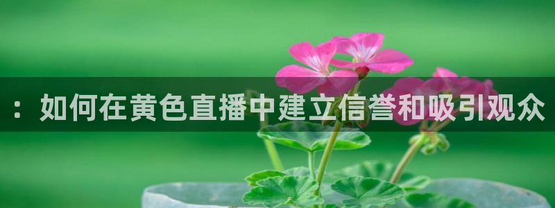 绿茵直播体育下载：：如何在黄色直播中建立信誉和吸引观众