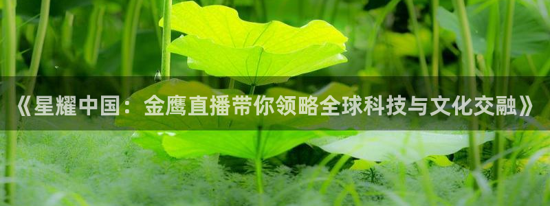 东京绿茵足球：《星耀中国：金鹰直播带你领略全球科技与文化交融》