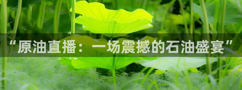 绿茵直播体育免费观看高清：“原油直播：一场震撼的石油盛宴”