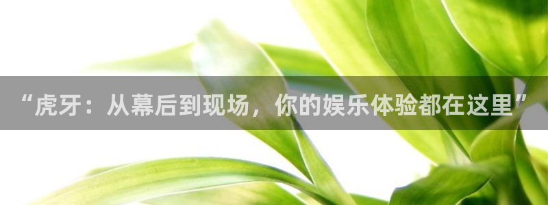 绿茵足球视频：“虎牙：从幕后到现场，你的娱乐体验都在这里”