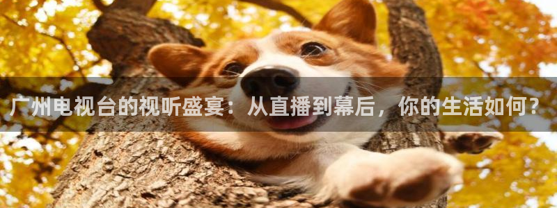 绿茵直播官网：广州电视台的视听盛宴：从直播到幕后，你的生活如何？