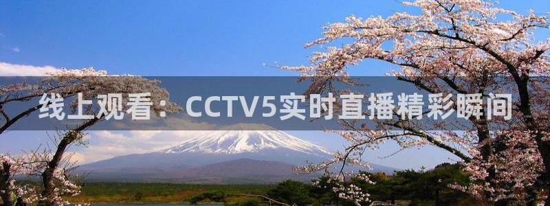 绿茵体育app下载：线上观看：CCTV5实时直播精彩瞬间