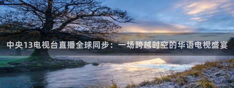 绿茵直播球赛在线观看：中央13电视台直播全球同步：一场跨越时空的华语电视盛宴