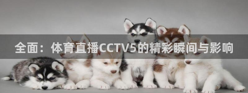 绿茵直播体育免费直播：全面：体育直播CCTV5的精彩瞬间与影响